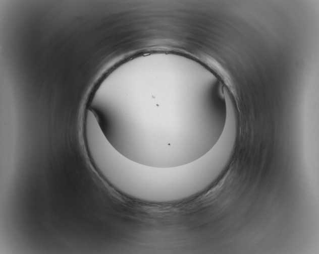 X0000096151384200802151345