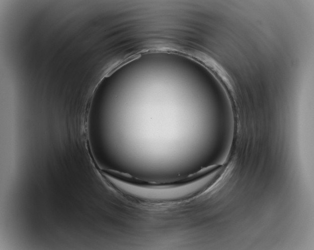 X0000096151385200802151345