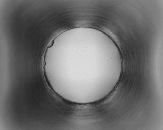 X0000096151386200802151345