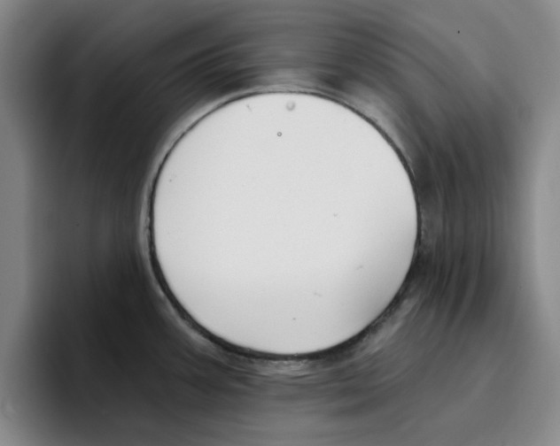 X0000096151387200802151345