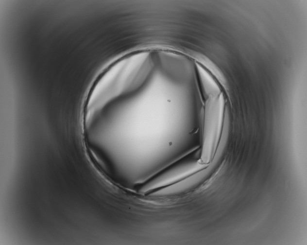 X0000096151388200802151345