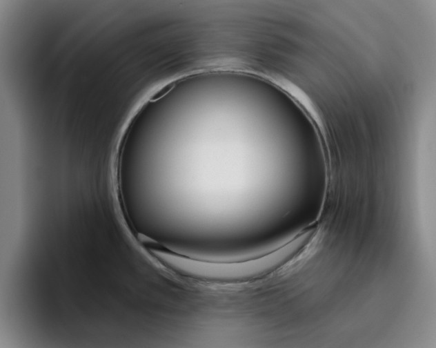 X0000096151389200802151345