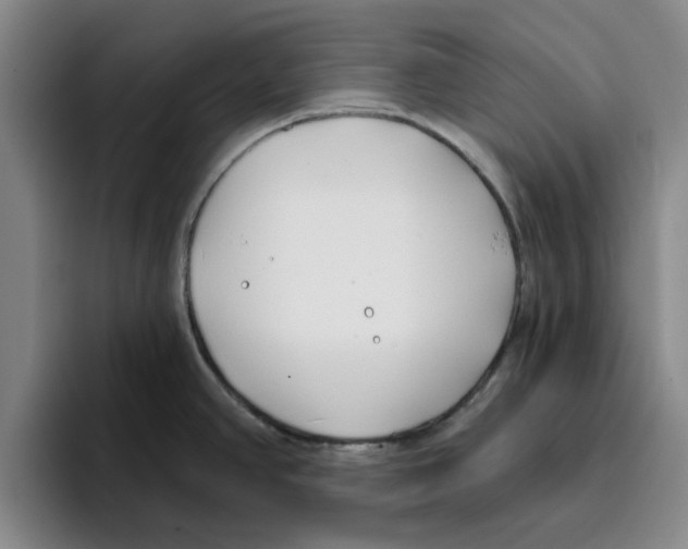 X0000096151390200802151345