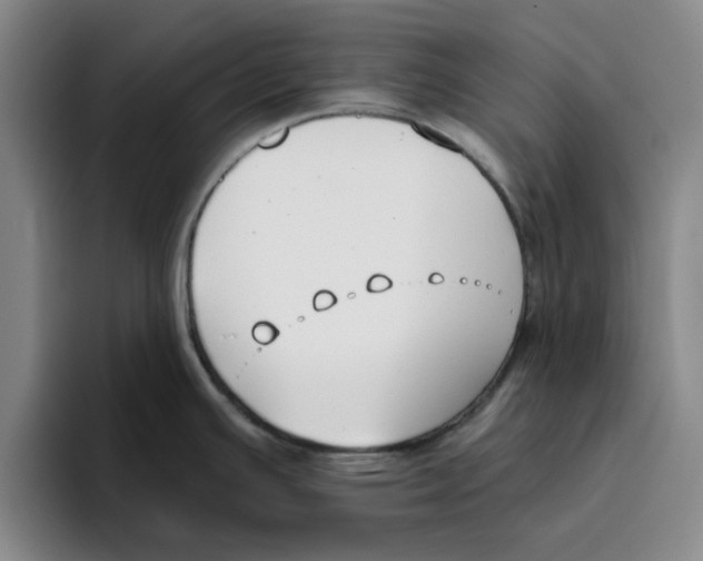 X0000096151391200802151345