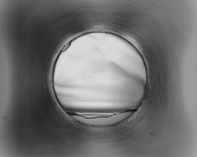 X0000096151392200802151345