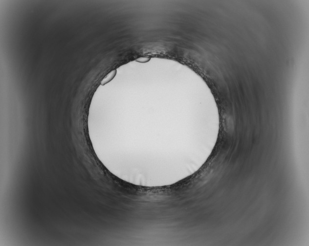 X0000096151393200802151345