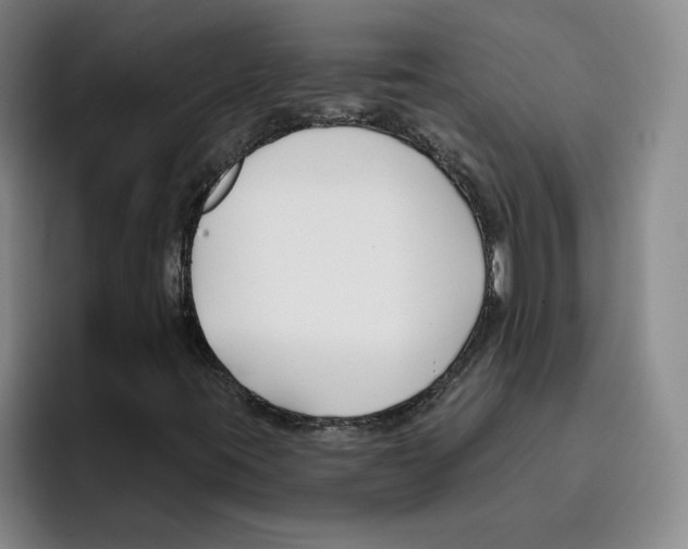 X0000096151395200802151345