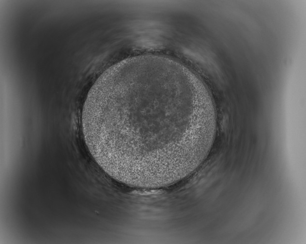 X0000096151397200802151345