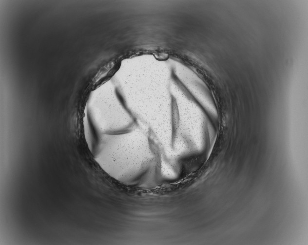 X0000096151398200802151345