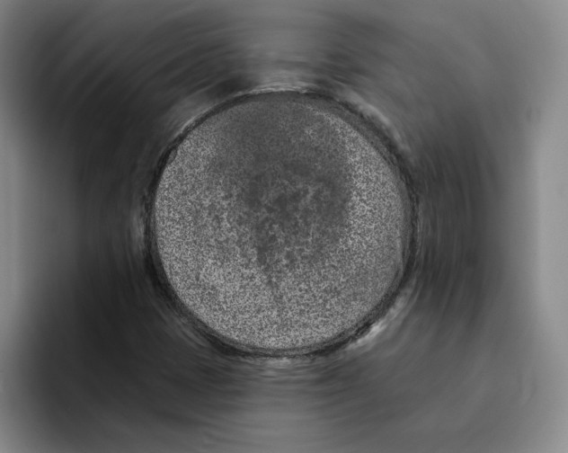 X0000096151401200802151345