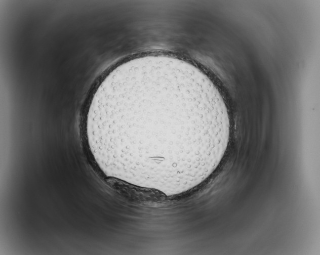 X0000096151404200802151345