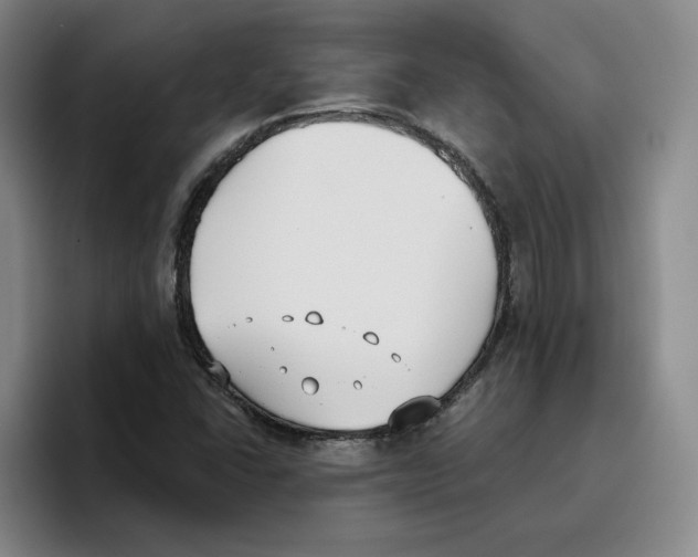 X0000096151406200802151345