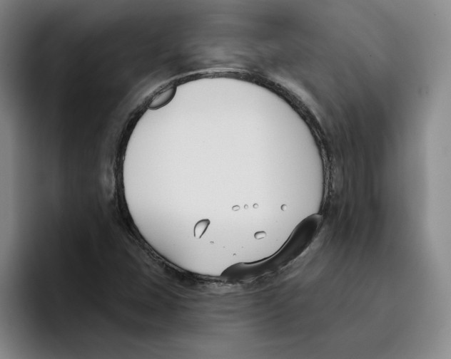 X0000096151407200802151345