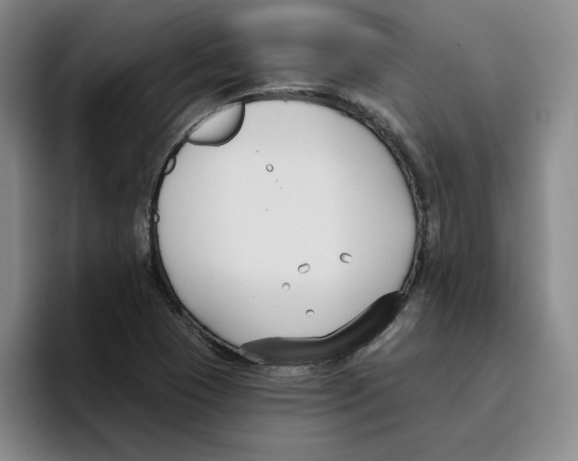 X0000096151409200802151345