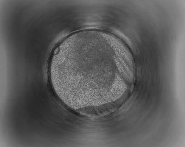 X0000096151411200802151345