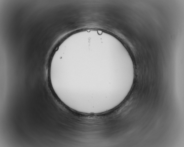 X0000096151416200802151345