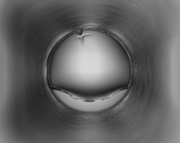 X0000096151418200802151345