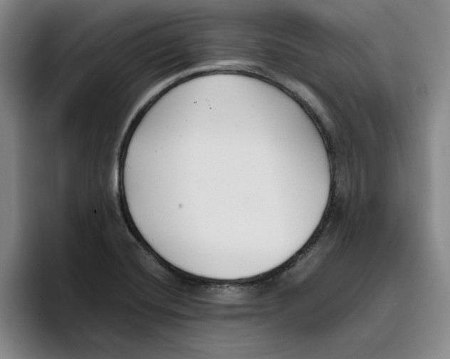 X0000096151420200802151345