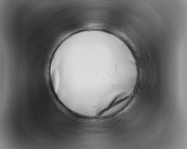 X0000096151421200802151345