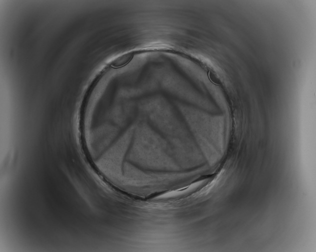 X0000096151422200802151345