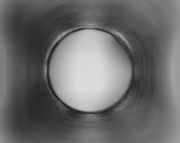 X0000096151424200802151345