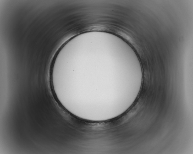 X0000096151426200802151345