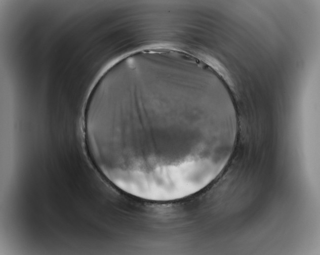 X0000096151428200802151345