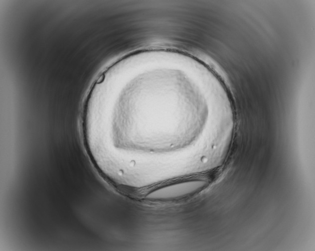 X0000096151429200802151345