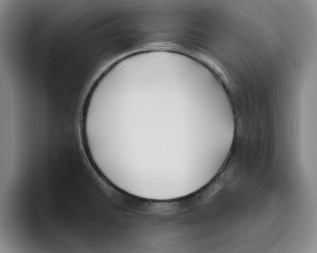 X0000096151430200802151345