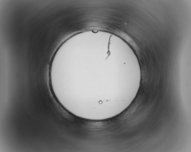 X0000096151431200802151345