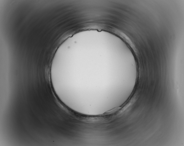 X0000096151433200802151345