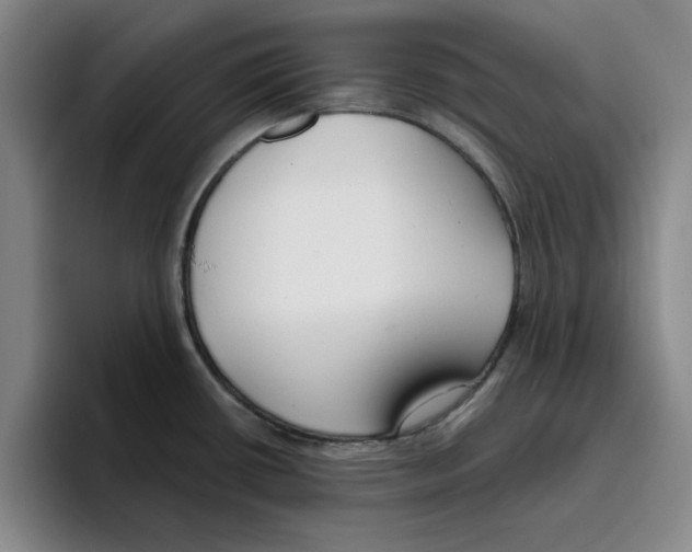 X0000096151434200802151345