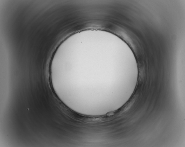 X0000096151435200802151345