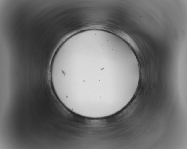 X0000096151436200802151345