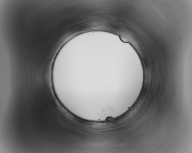 X0000096151439200802151345