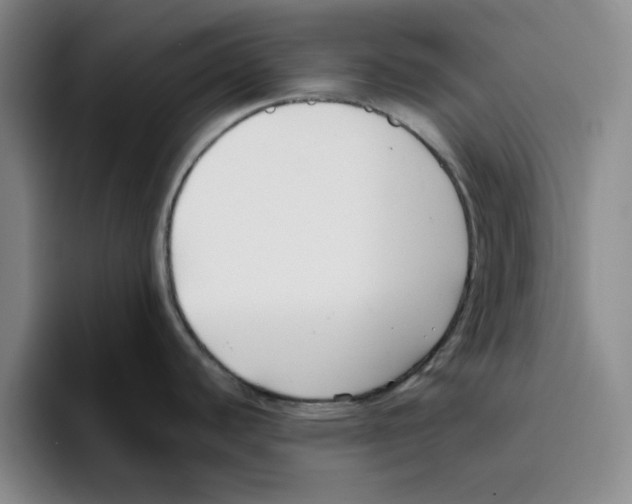 X0000096151440200802151345