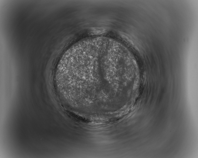 X0000096151441200802151345