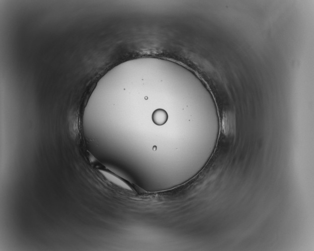 X0000096151444200802151345