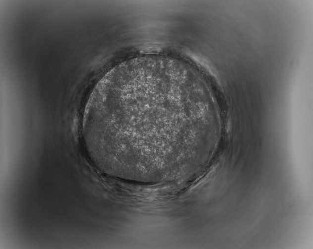 X0000096151445200802151345