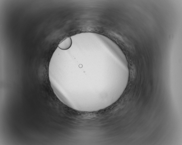 X0000096151446200802151345