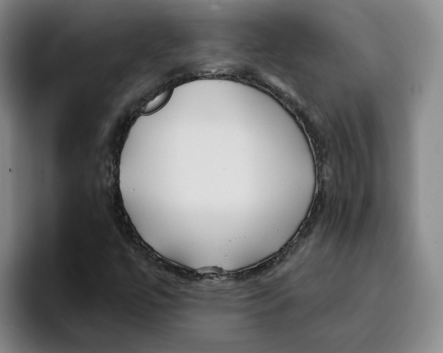 X0000096151447200802151345