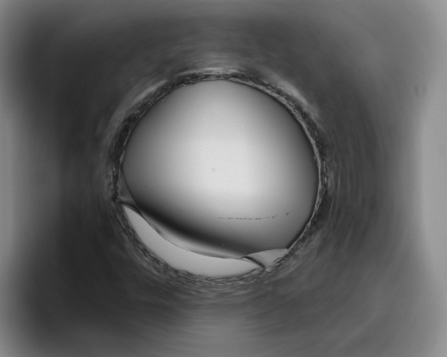 X0000096151448200802151345