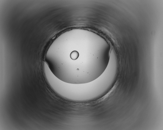 X0000096151449200802151345