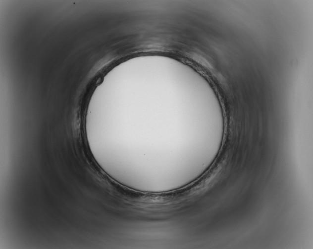 X0000096151450200802151345