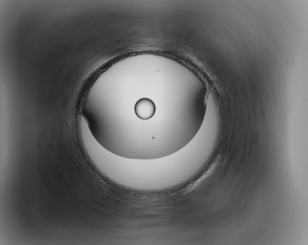 X0000096151453200802151345