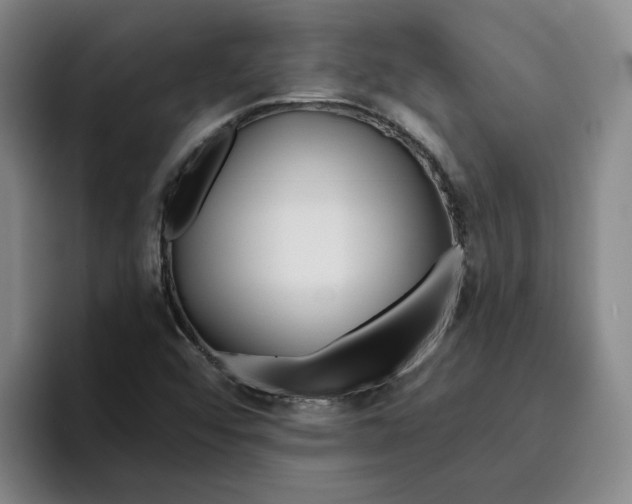 X0000096151456200802151345