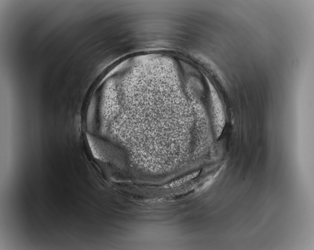 X0000096151457200802151345