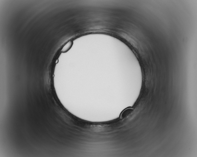 X0000096151458200802151345