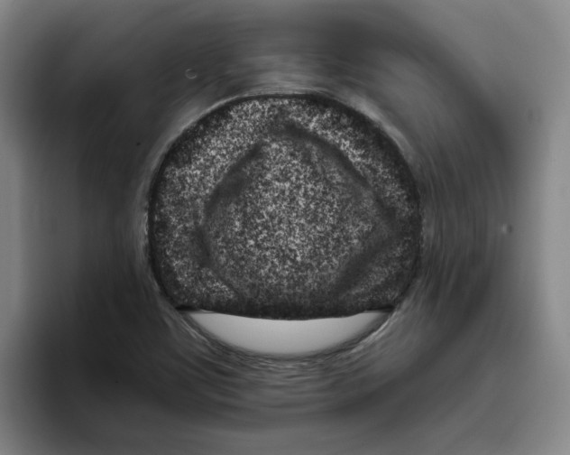 X0000096151459200802151344