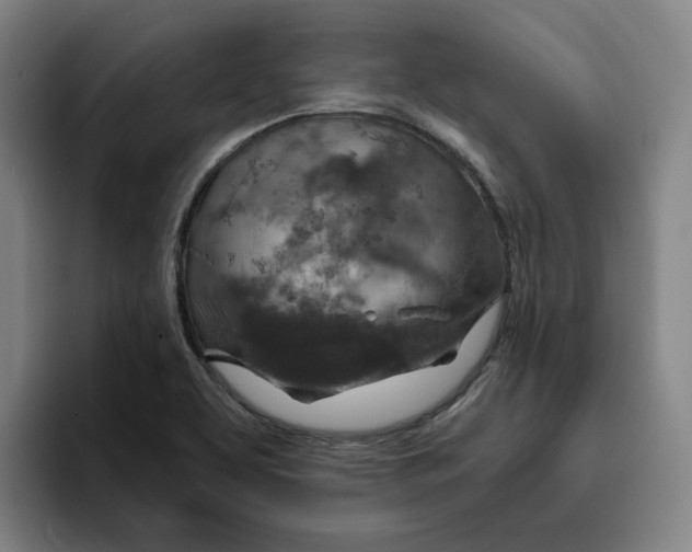 X0000096151463200802151344